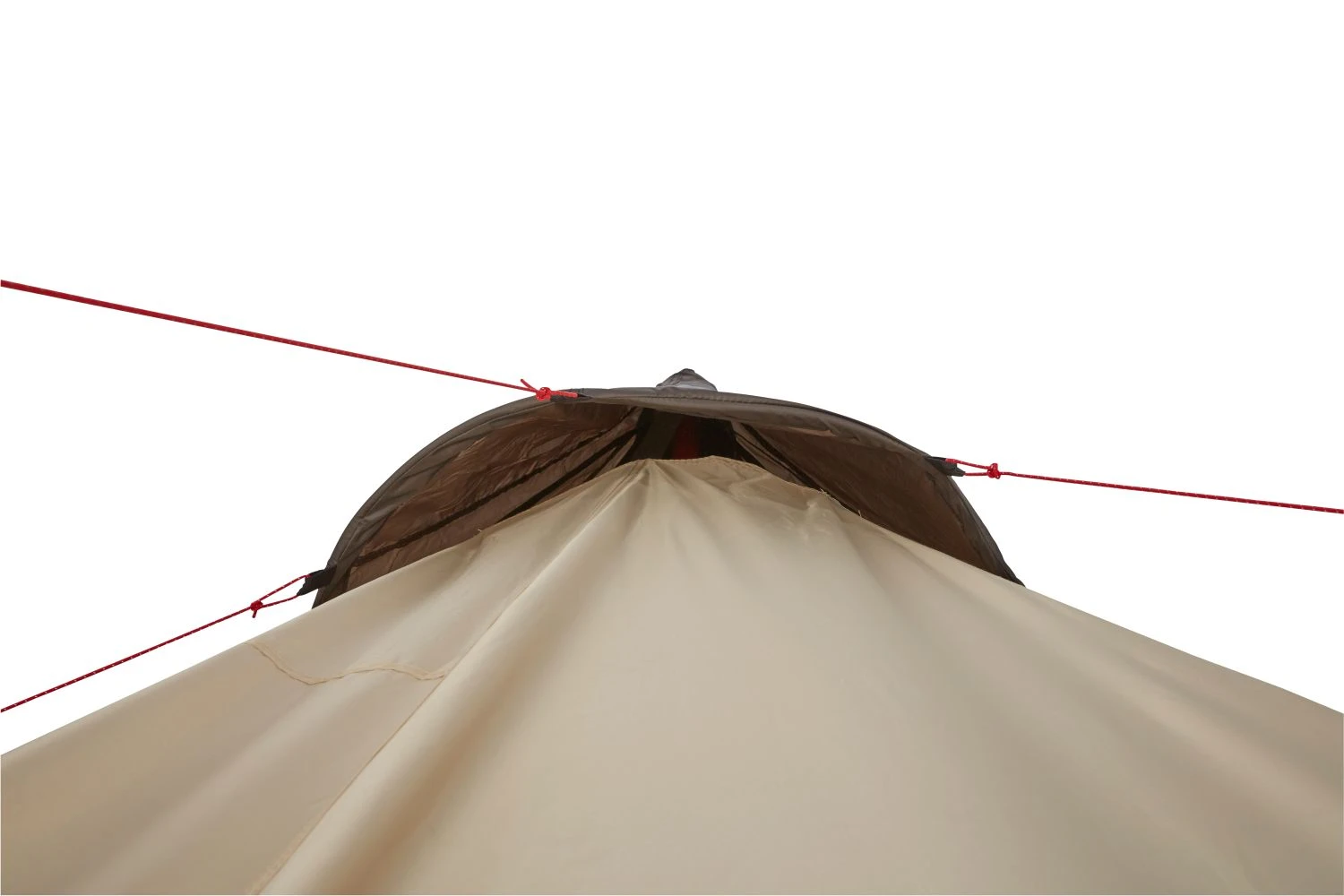 Grand Canyon Black Falls 8 Zelt (mojave/desert) – Bild 4