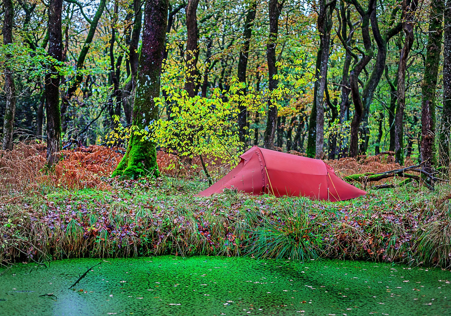 Nordisk Halland Lightweight 2-Personen Zelt (burnt-red) 4 Nordisk Halland Lightweight 2-Personen Zelt (burnt-red) – Bild 2