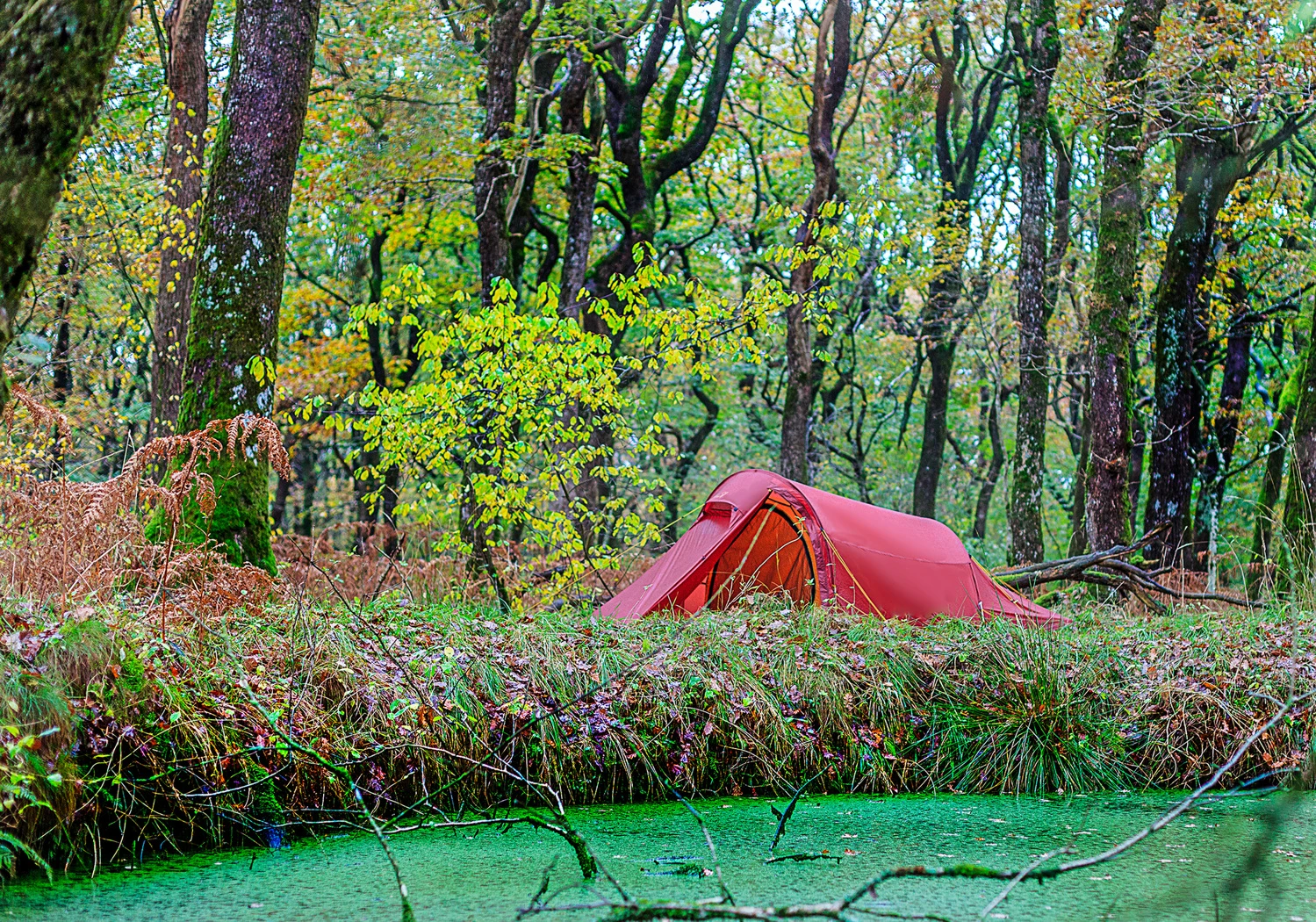 Nordisk Halland Lightweight 2-Personen Zelt (burnt-red) 7 Nordisk Halland Lightweight 2-Personen Zelt (burnt-red) – Bild 5